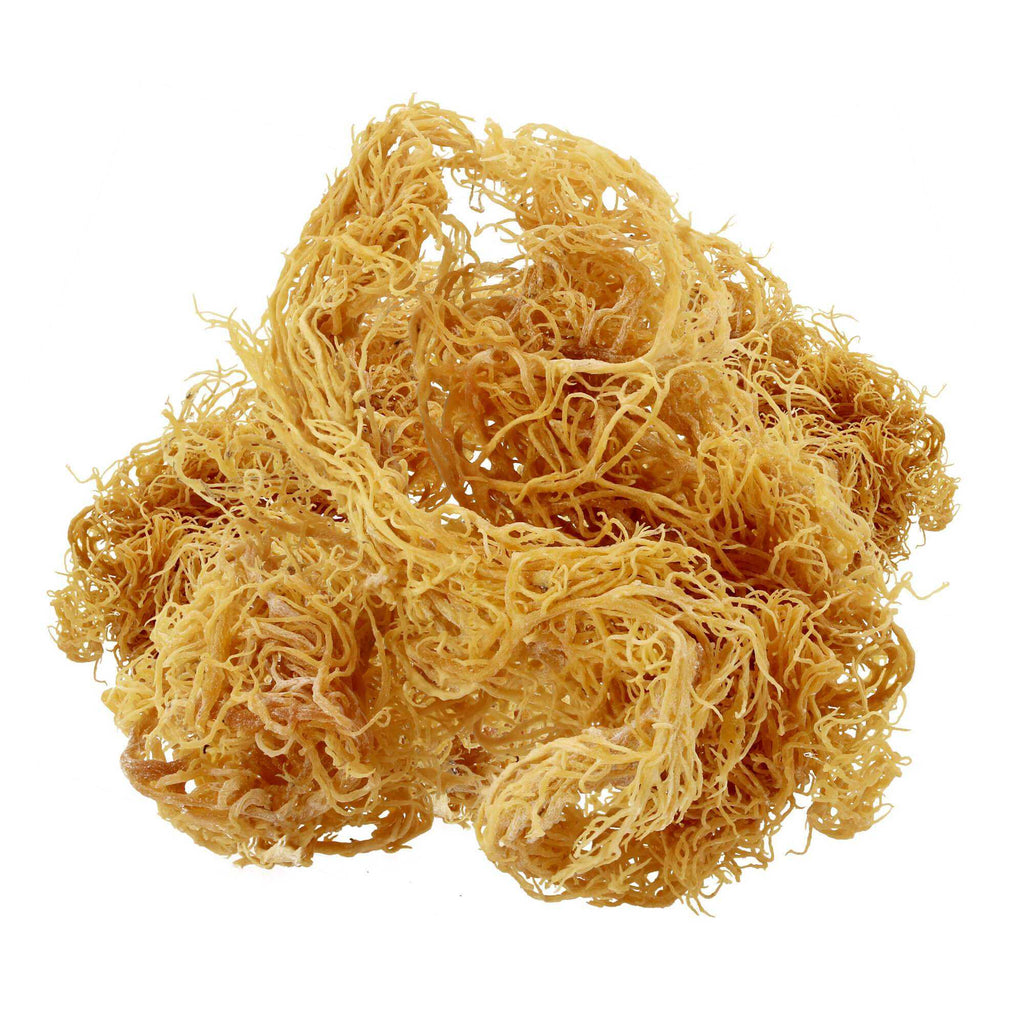 Raw Sun dried Sea Moss